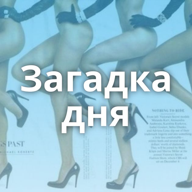 Загадка дня