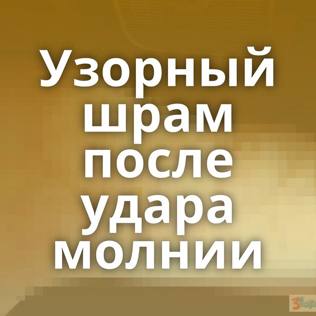 Узорный шрам после удара молнии