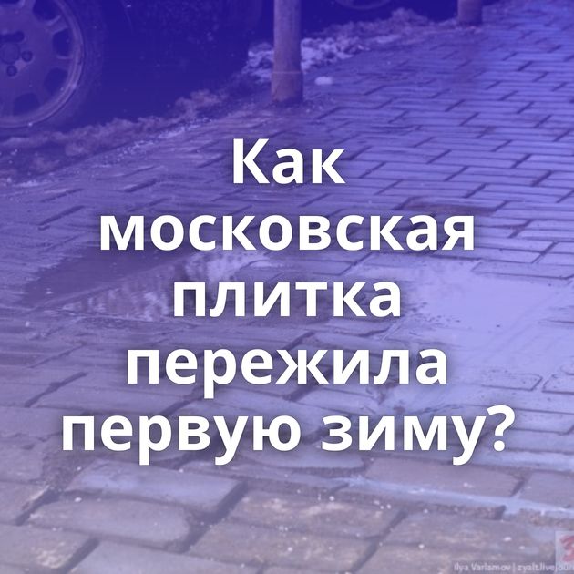 Как московская плитка пережила первую зиму?