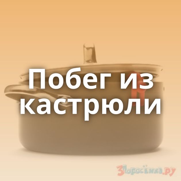 Побег из кастрюли