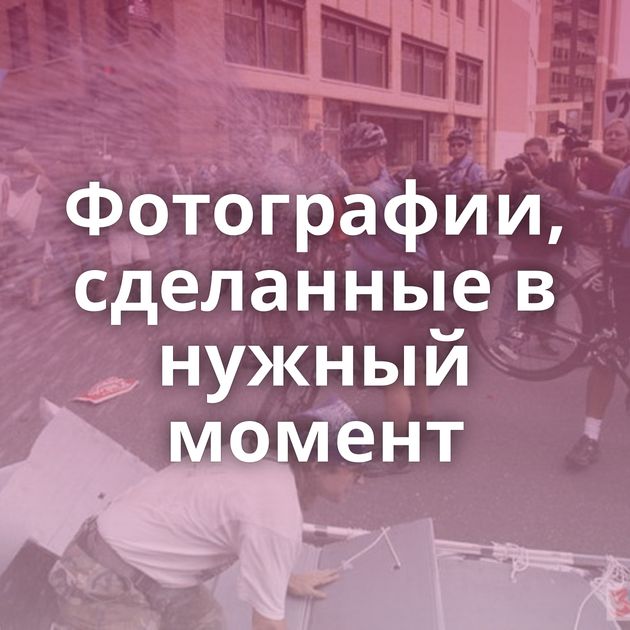 Фотографии, сделанные в нужный момент