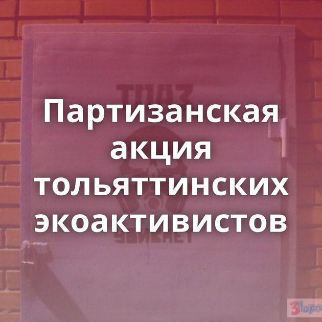 Партизанская акция тольяттинских экоактивистов