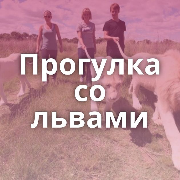 Прогулка со львами