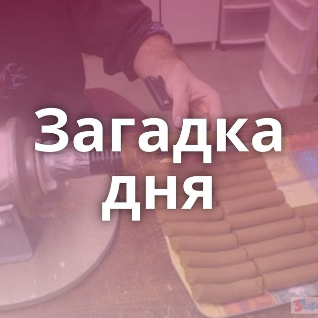 Загадка дня