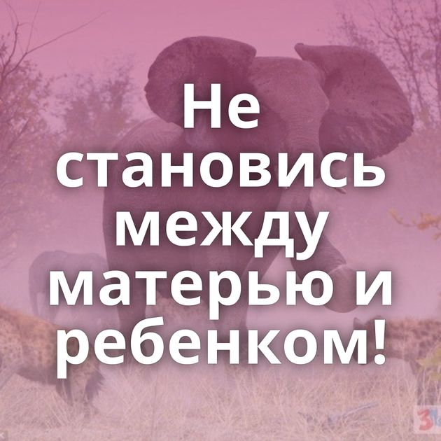 Не становись между матерью и ребенком!