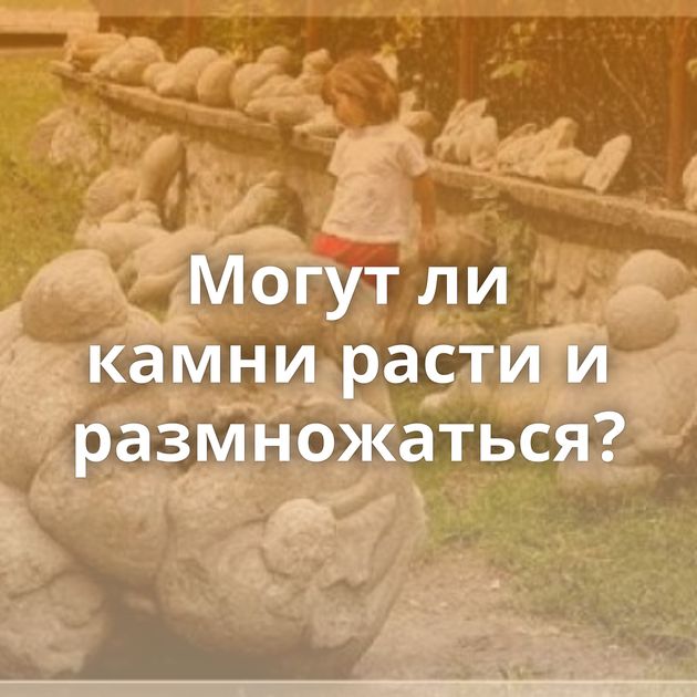 Могут ли камни расти и размножаться?