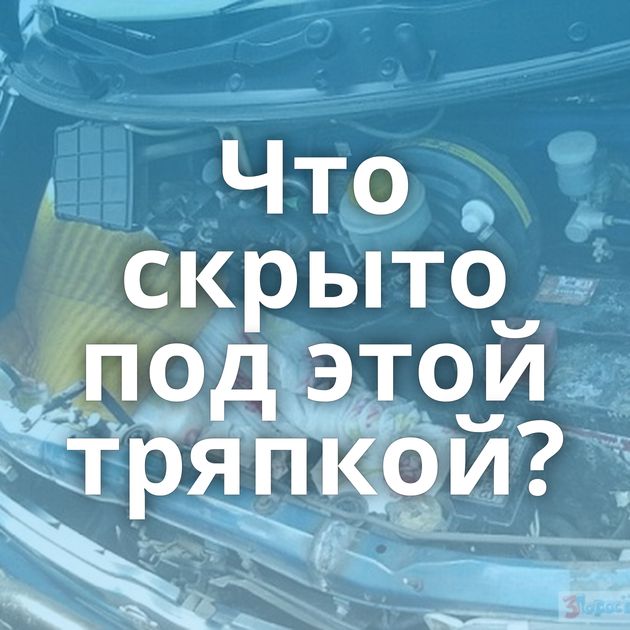 Что скрыто под этой тряпкой?