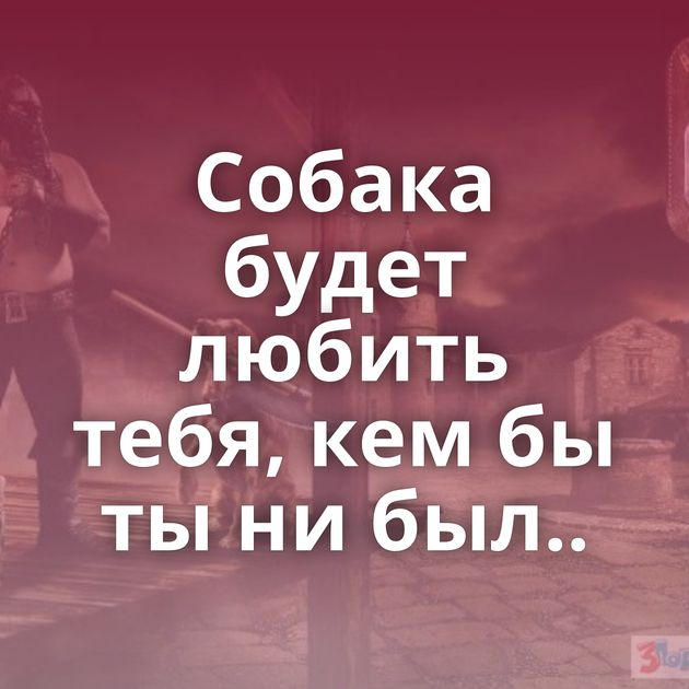 Собака будет любить тебя, кем бы ты ни был..