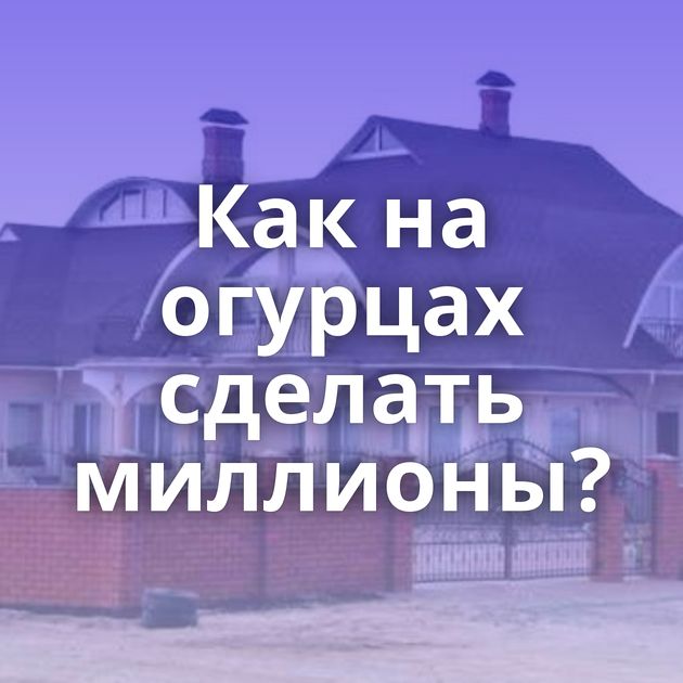 Как на огурцах сделать миллионы?