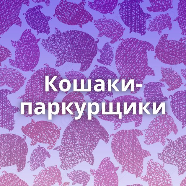 Кошаки-паркурщики