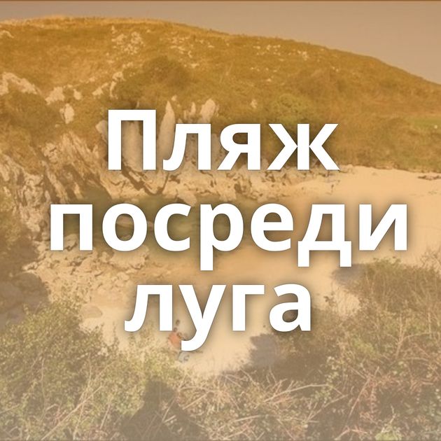 Пляж посреди луга