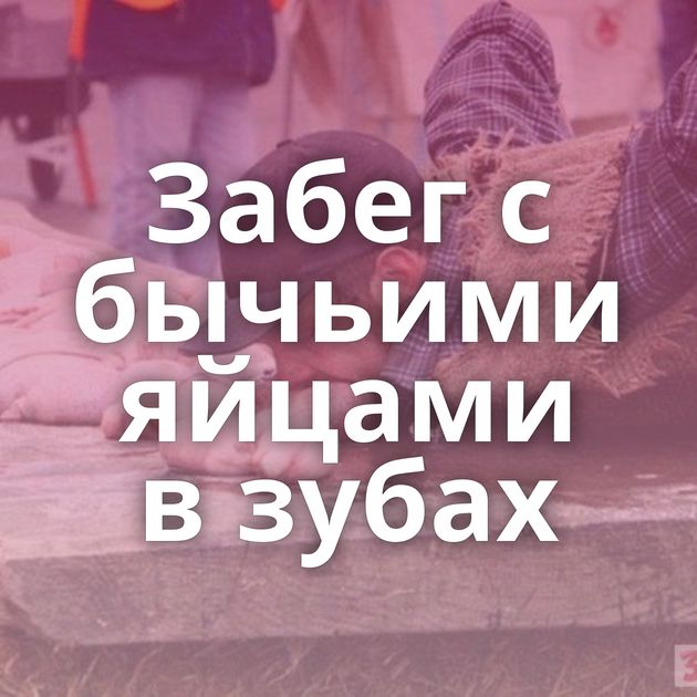 Забег с бычьими яйцами в зубах