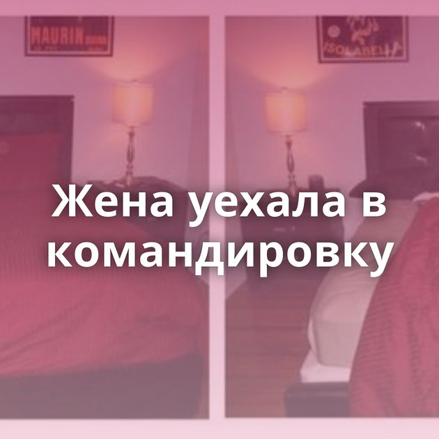 Жена уехала в командировку