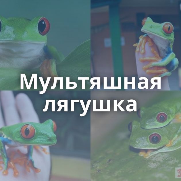 Мультяшная лягушка