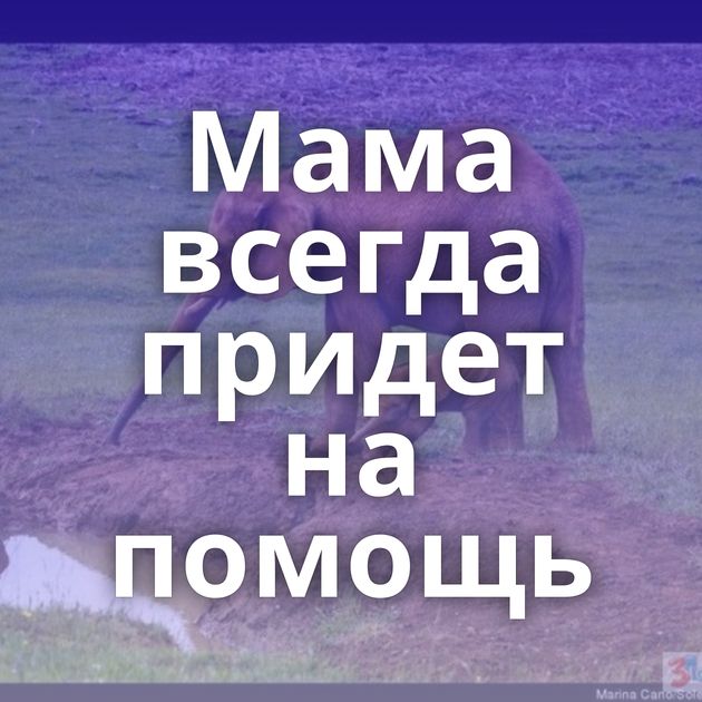 Мама всегда придет на помощь