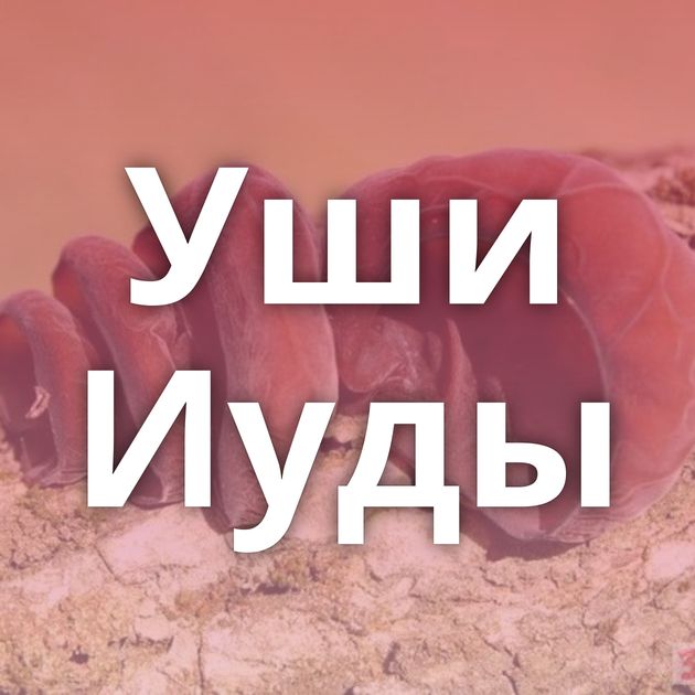 Уши Иуды