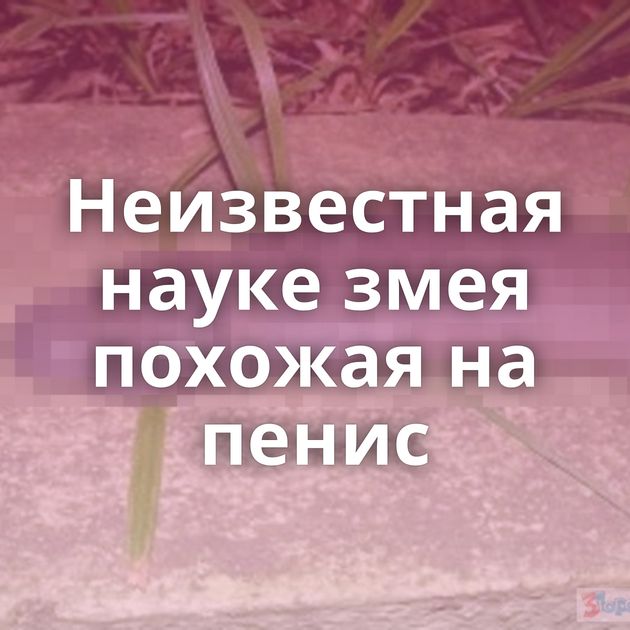 Неизвестная науке змея похожая на пенис