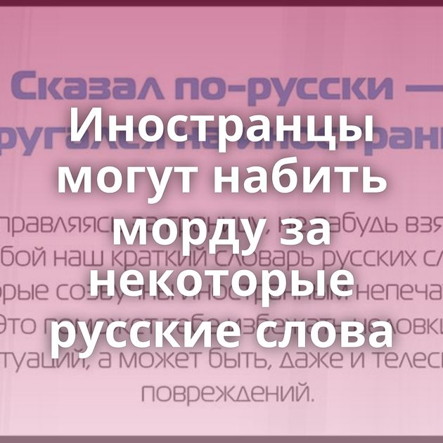 Иностранцы могут набить морду за некоторые русские слова