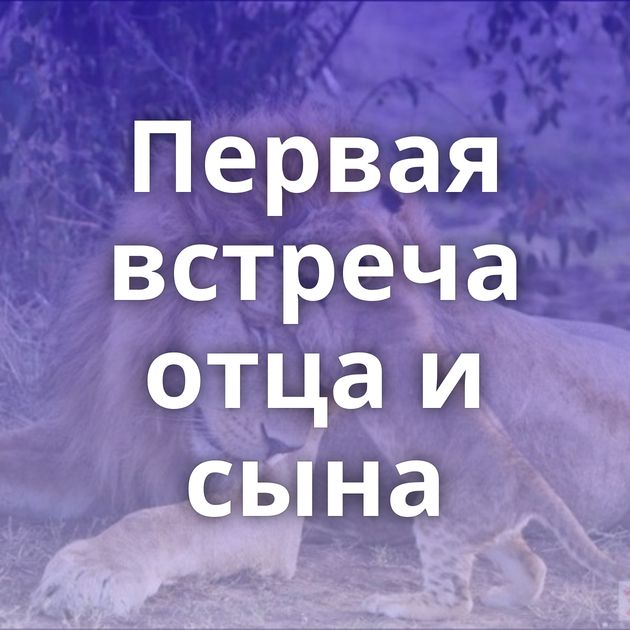 Первая встреча отца и сына