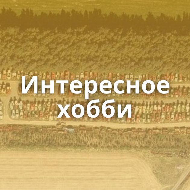 Интересное хобби