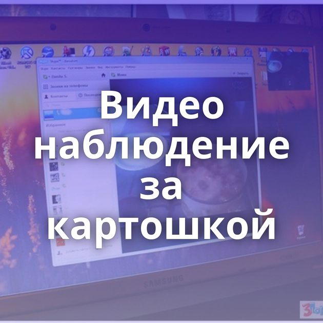 Видео наблюдение за картошкой