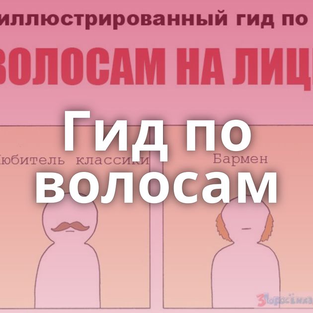 Гид по волосам