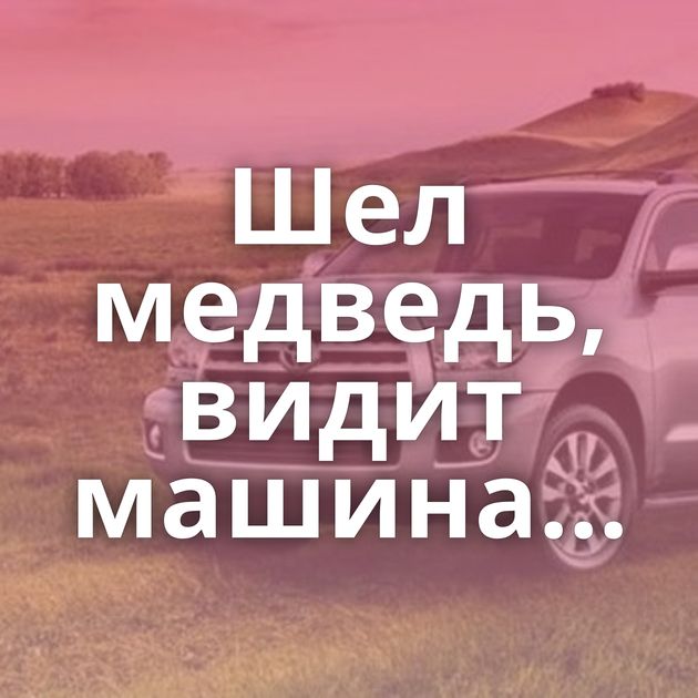 Шел медведь, видит машина...