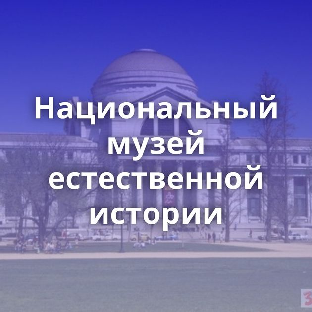 Национальный музей естественной истории