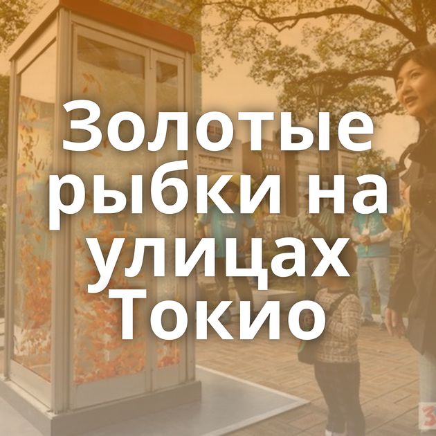 Золотые рыбки на улицах Токио