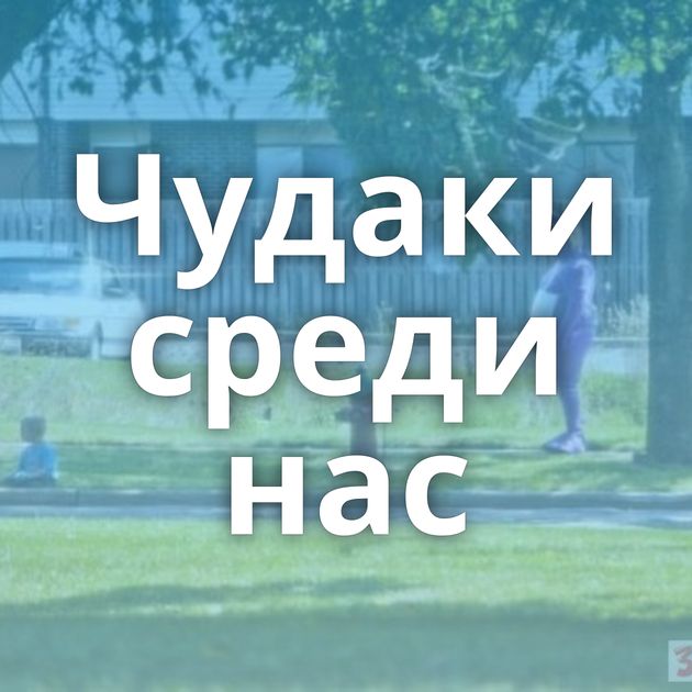 Чудаки среди нас