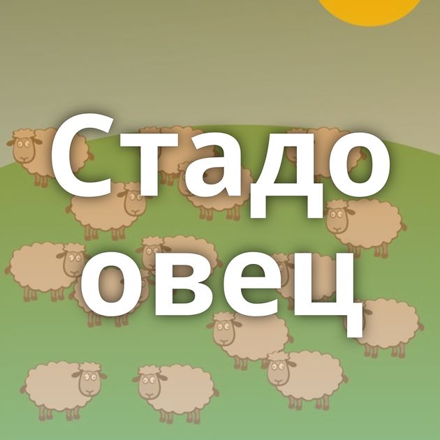 Стадо овец