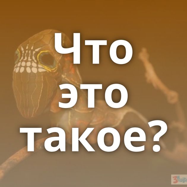 Что это такое?