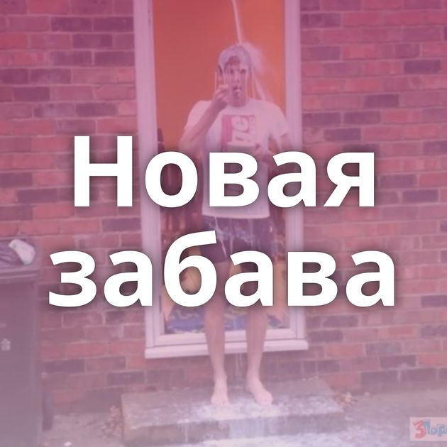 Новая забава