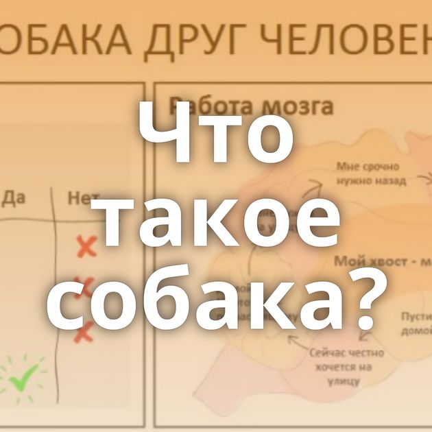 Что такое собака?