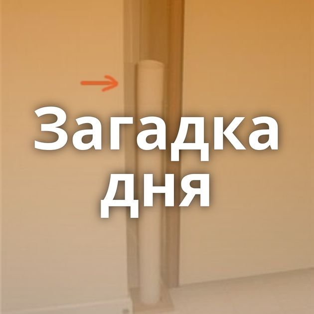 Загадка дня