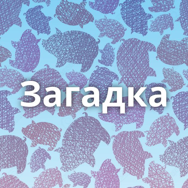 Загадка