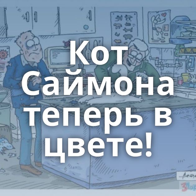 Кот Саймона теперь в цвете!