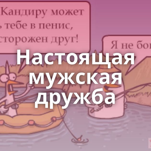 Настоящая мужская дружба