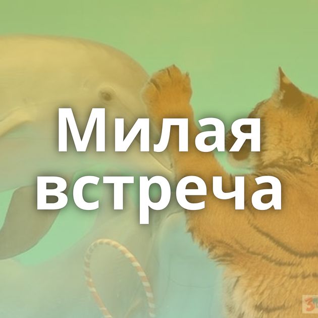 Милая встреча