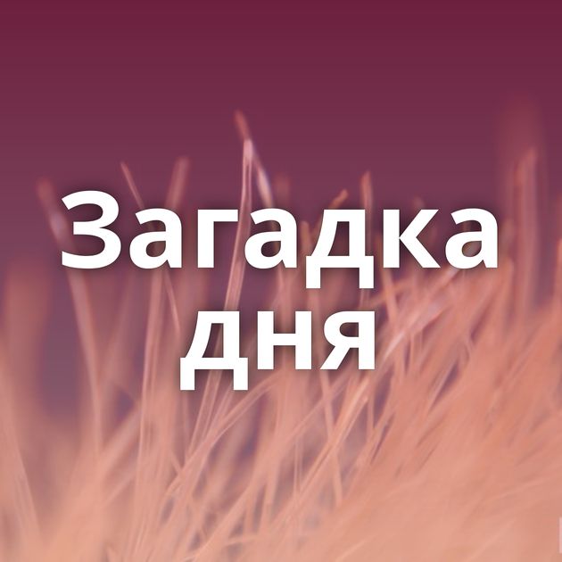 Загадка дня