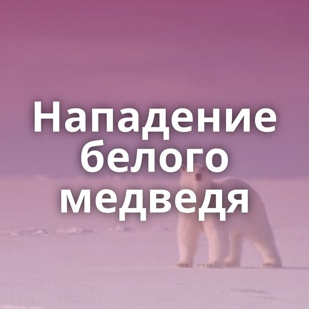 Нападение белого медведя