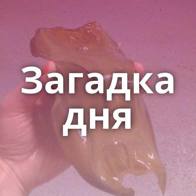 Загадка дня