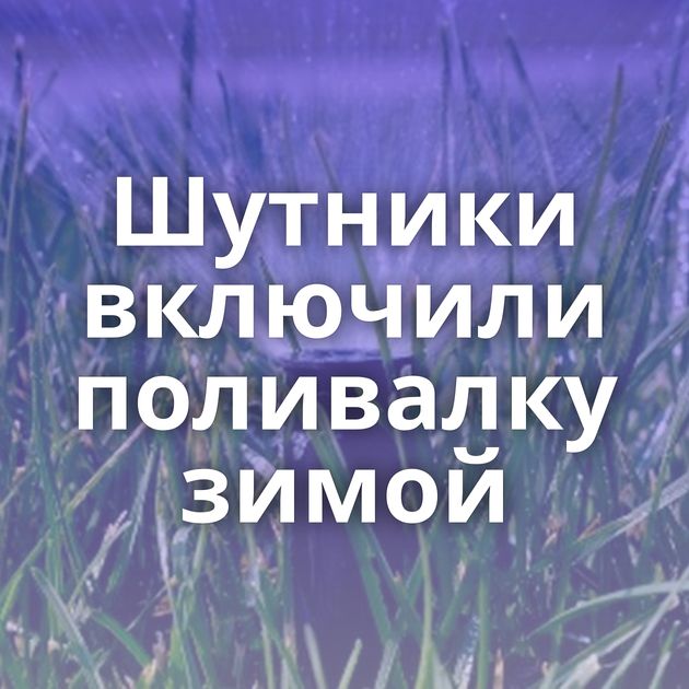 Шутники включили поливалку зимой