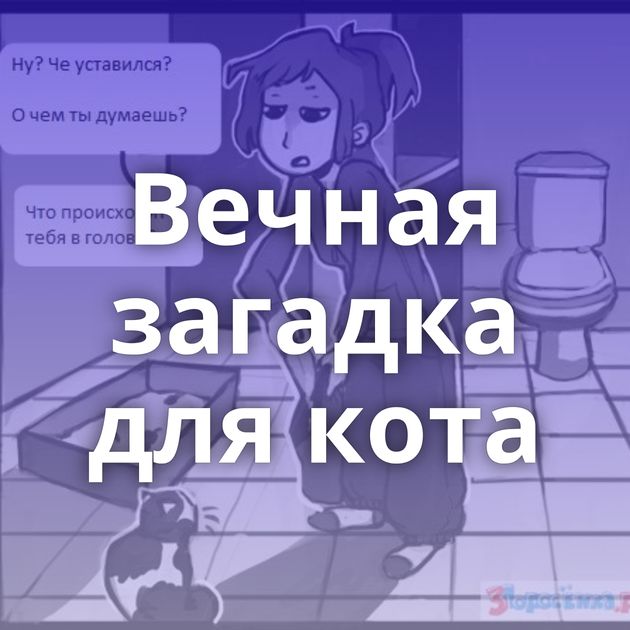 Вечная загадка для кота