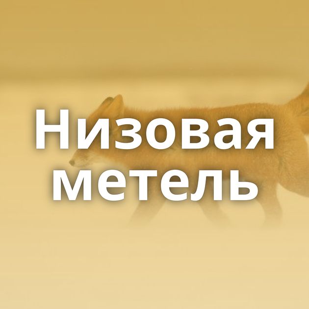 Низовая метель