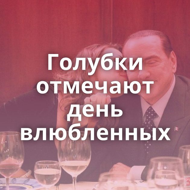 Голубки отмечают день влюбленных