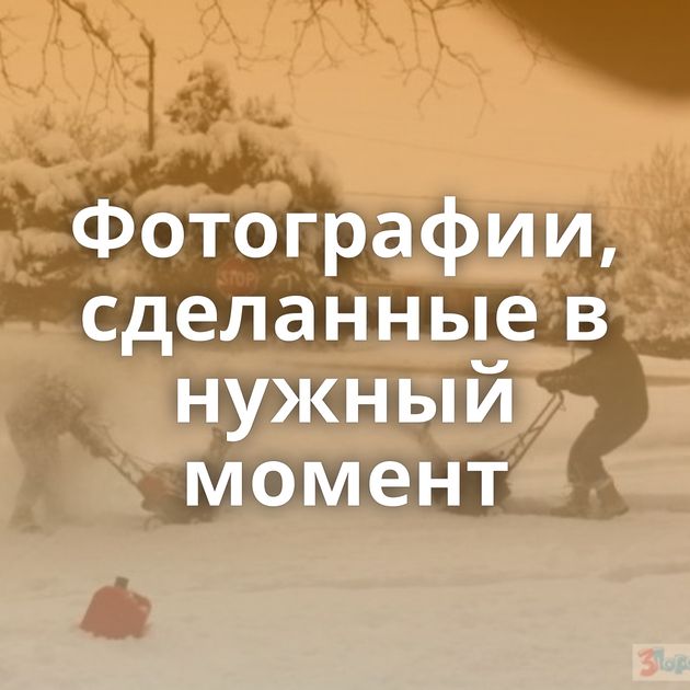 Фотографии, сделанные в нужный момент