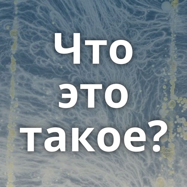 Что это такое?