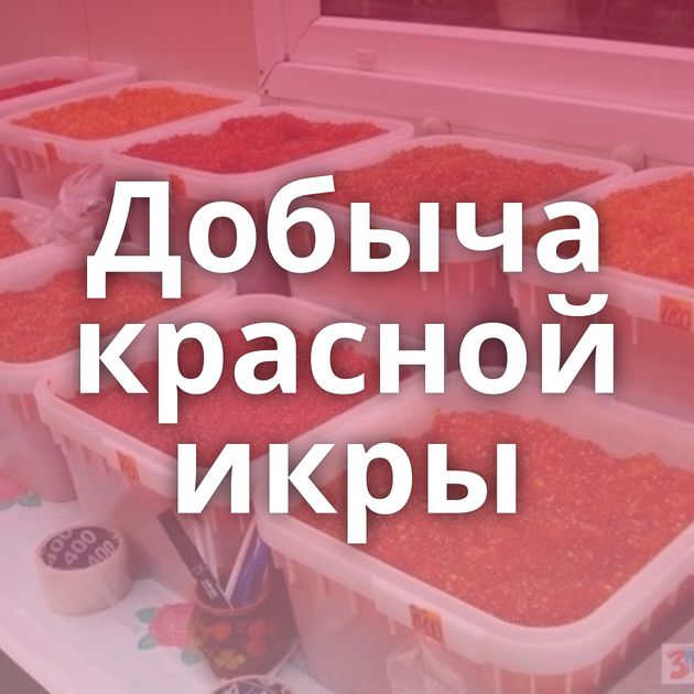 Добыча красной икры