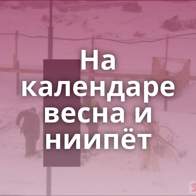 На календаре весна и ниипёт